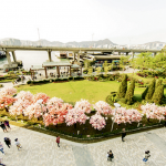 【母親節禮物】未準備好？少慌張  5分鐘掌握優惠資訊　即興隨時起行