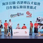 導盲犬服務不足 海洋公園助本地繁殖