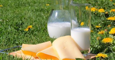 吃奶製品吸收益生菌　芝士補鈣減壓力(附補鈣食物表)