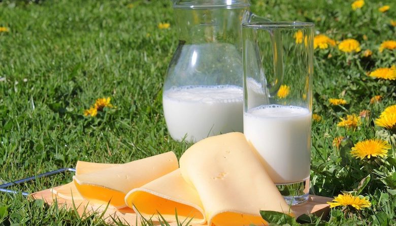 吃奶製品吸收益生菌　芝士補鈣減壓力(附補鈣食物表)