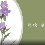 【Karen 珠寶飾説話】花藝教室-５分鐘學懂 日本花道精神：桔梗 留白美學