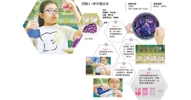 神奇小實驗 紫椰菜「整色整水」 花青素測酸鹼