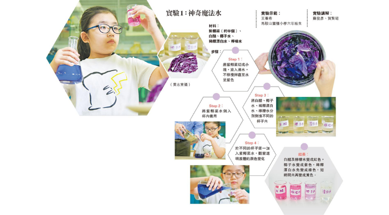 神奇小實驗 紫椰菜「整色整水」 花青素測酸鹼