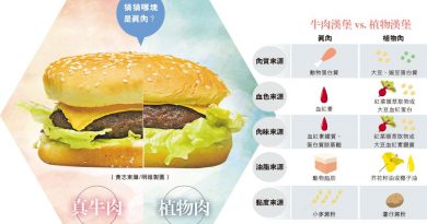 植物肉大解構丨牛肉漢堡 VS 植物漢堡 有「血」有「脂」 口感可亂真