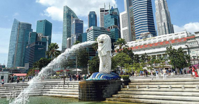 【旅遊氣泡】11月22日啟航啦！香港新加坡每日一班機最多200人 （附Q&A）