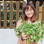 冬至美食｜無定向學堂：芫荽變主角 煮出無限可能！