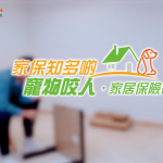 家保知多啲｜寵物咬人 家居保險都保埋？