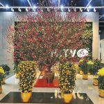 【2021農曆新年】行另類花市買年花 新年轉個好心情