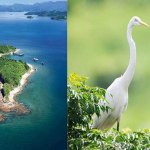 眼睛去旅行丨30秒睇香港最細島嶼鴨洲 有紅色角礫岩、海蝕拱同大白鷺？