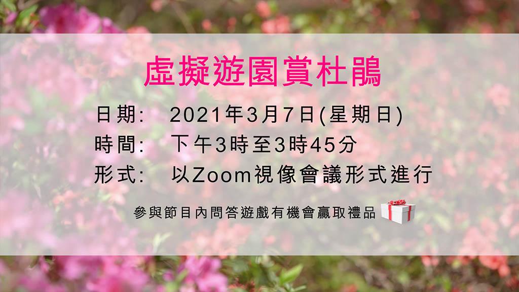 Online賞花丨3.7動植物公園舉辦「虛擬遊園賞杜鵑」 免費報名【附報名連結】