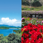 【遊走大灣區】初春登頂深圳塘朗山 眺望深圳市全貌 看山、城、海相依相融 享受坐落繁囂之中的世外桃源