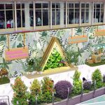 荃灣廣場聯乘Greenology<br>打造「共享綠藝空中花園」