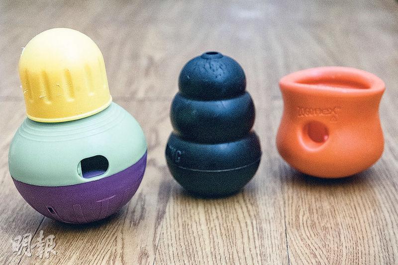 10個DIY創意寵物玩具 廁紙筒、膠管變毛孩放電遊戲 室內都玩得開心