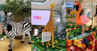 商場有個大草原！80萬粒LEGO砌出動物大遷徙場景 3.5米高長頸鹿登陸V Walk商場