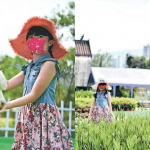 親子農莊一日遊 親親羊駝歎下午茶 坐天鵝觀光船遊湖