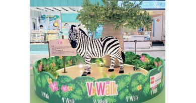V Walk東非遊學園 樂高專業認證師「動物神還原」