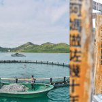 【樂活本地遊】由鴨脷洲到南丫島 親身體驗「漁」樂無窮 尋百年小店