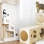 高質寵物用品大晒冷！方格跳箱窩、半半貓跳台 主子開心貓奴放心