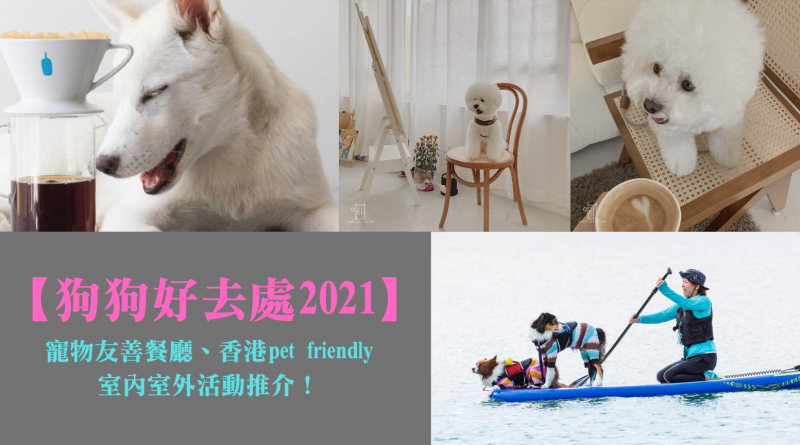 【狗狗好去處2021】寵物友善餐廳、香港pet friendly室內室外活動推介！