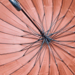 唔想吹反遮？雨傘達人教路：大遮食風易吹反 遮骨愈多愈堅韌
