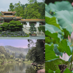 【遊走大灣區】深圳逛公園遊佛寺 走入仙湖植物園、東湖公園賞湖光山色 再訪弘法寺內首家人文佛教博物館