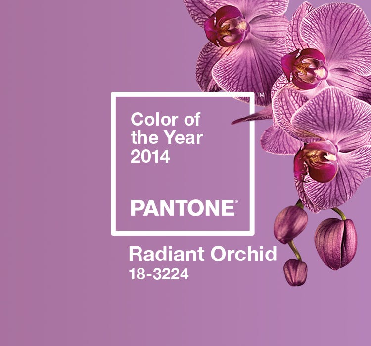 pantone coloroftheyear 年度代表顏色 2014年度代表顏色 蘭花紫 radiant orchid