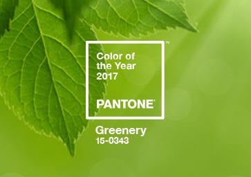 pantone coloroftheyear 年度代表顏色 2017年度代表顏色 草木綠 greenery