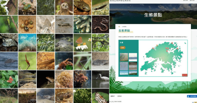 留家抗疫。親親大自然｜香港生物多樣性資訊網 認識逾3000種本地海陸生物【附網站連結】