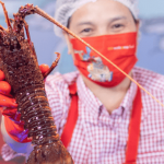 期間限定$188一斤重澳洲野生龍蝦 惠康「鮮」級市場Wellcome Fresh進駐上水區