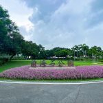 【遊走大灣區】前海石公園 眺望對岸的灣區之光 浪漫的自貿區