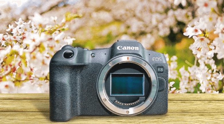【旅攝必備】專業級入門Canon EOS R8   全片幅無反   機身纖薄   每秒40張高速連拍