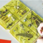 【親子好去處。M+草間彌生特別展】家庭日藝術工作坊   植物拼湊家庭肖像   發揮創意