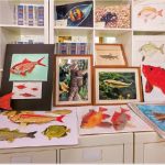 【知多啲：魚類】香港魚類學會遷址大埔滘   設水族館展示本地逾30種代表魚類   探索魚類自然生態