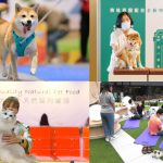 【生活博覽｜假日好去處】主子絕對不能錯過的夏日寵 · 愛嘉年華 夏日最強寵物生活博覽8月11亞博開鑼