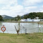 廚餘新用途｜廚餘變魚糧 高科技養殖漁產 促進本地食物鏈循環