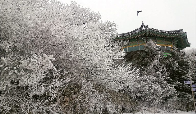 濟州島旅遊｜必遊漢拏山！踏雪登韓國最高峰   感受自然美景   賞雲海樹木披銀衣