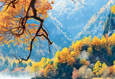 入秋後，九寨溝漫山黃葉、紅葉，景色一絕。