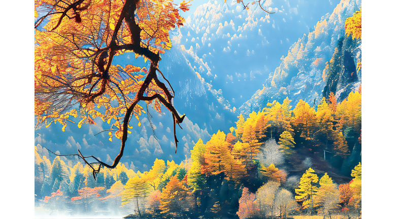 入秋後，九寨溝漫山黃葉、紅葉，景色一絕。