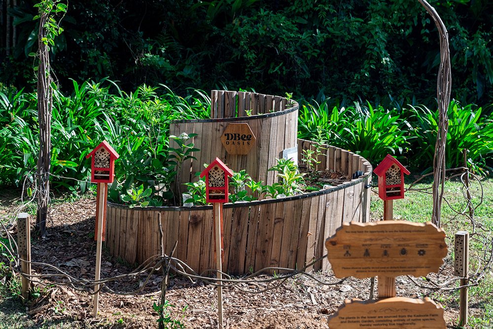 DBee Oasis城市綠洲花塔設於愉景灣中央公園,是香港首個專為授粉昆蟲而設的城市綠洲項目。