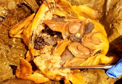 海洋公園海龍王餐廳 X 麥華章 ｜品味新經典