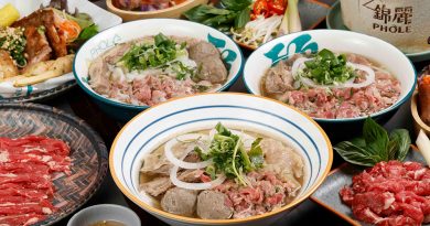 錦麗小鮮嫩肉湯粉