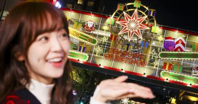 尖東燈飾 點綴維港 送上祝福