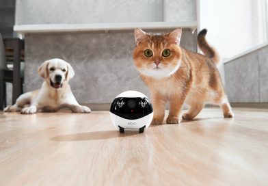 FUTEX ENABOT寵物機械人系列<br>1月會展寵物節與你相會